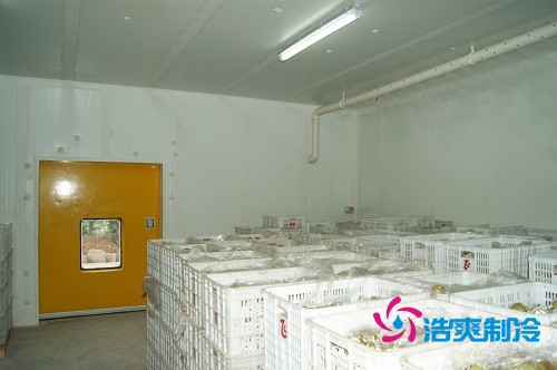 圖示:浩爽制冷為蜜之源果業(yè)建造的柑橘氣調冷庫