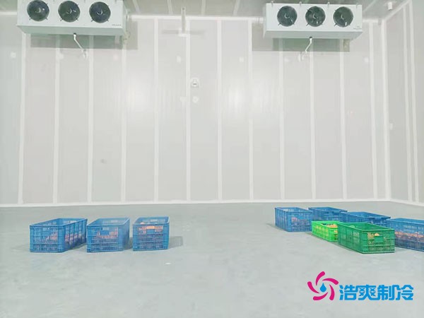 200噸蔬菜保鮮冷庫造價多少錢？需要多大面積？