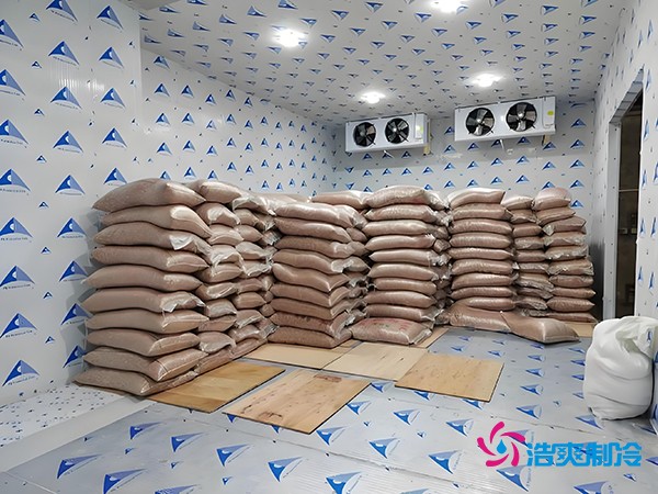 2萬起建種子冷庫？這些因素讓造價翻倍！