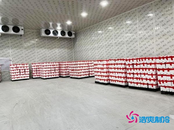 冷庫(kù)建造費(fèi)用每平米造價(jià)大概多少錢?