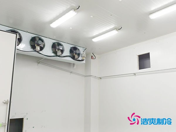 上海小型冷庫造價揭秘！2萬起真的靠譜嗎？