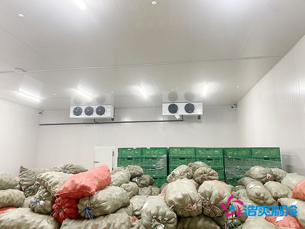 檳榔冷庫造價及保鮮周期