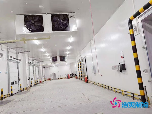 建設(shè)冷凍庫每平米造價多少錢？冷凍庫造價關(guān)鍵因素解析
