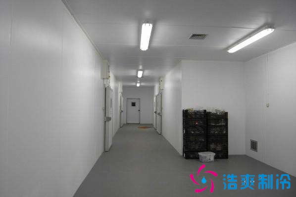 預(yù)建1000噸果蔬冷庫(kù)設(shè)計(jì)規(guī)劃，冷庫(kù)價(jià)格多少錢