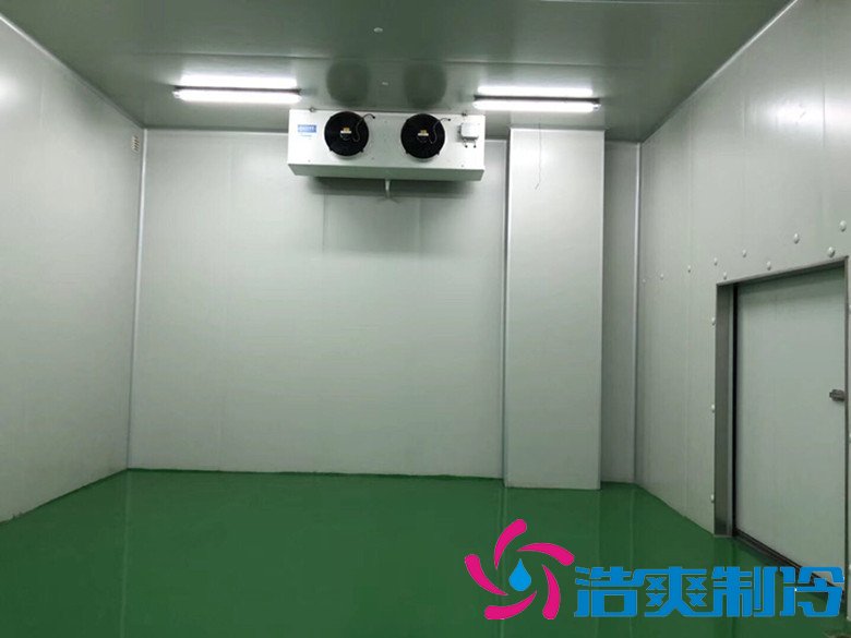 醫(yī)療冷庫的安裝標準，2-8℃生物制品冷庫安裝制冷設備造價 冷庫內(nèi)景圖片
