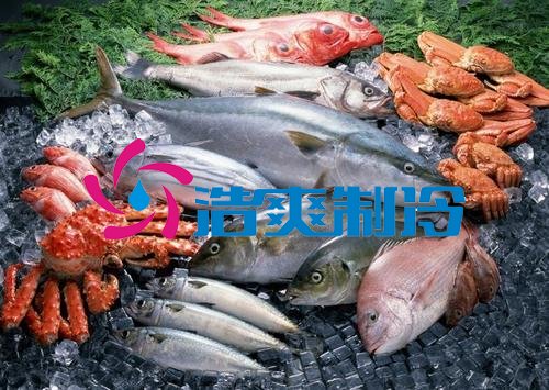 浩爽制冷，海鮮冷凍庫、食品冷凍庫